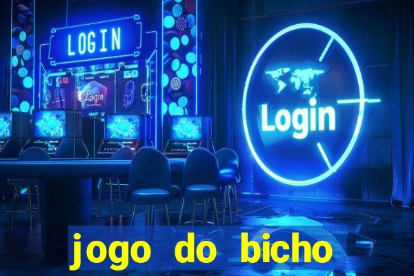 jogo do bicho crash bingo